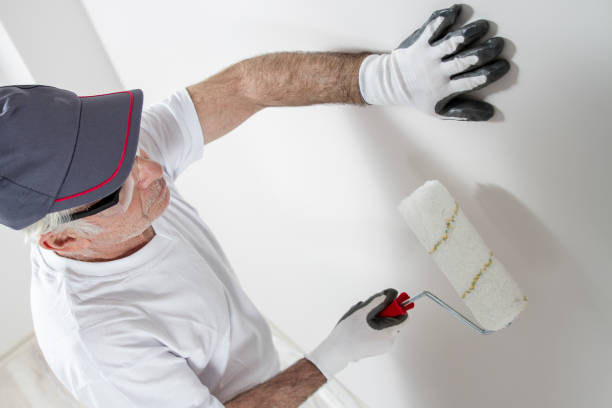 Best Mold Remediation for Healthcare Facilities  in Ormond Beach, FL
