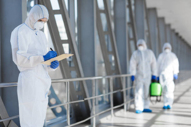 Best Airborne Mold Testing  in Ormond Beach, FL