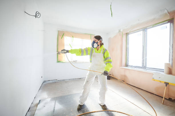 Trusted Ormond Beach, FL Mold Removal Experts