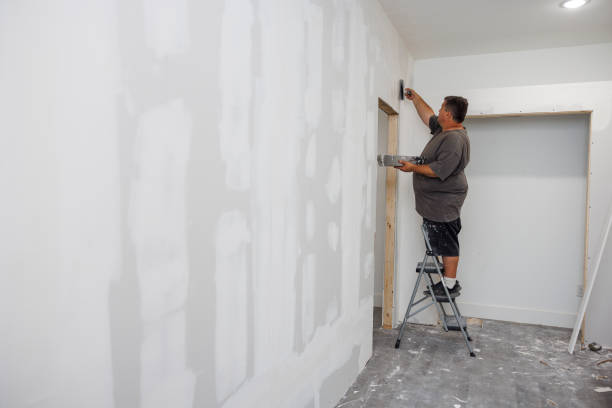 Best Commercial Mold Inspection  in Ormond Beach, FL