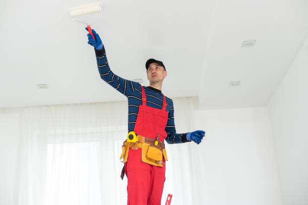 Best Real Estate Mold Inspection  in Ormond Beach, FL