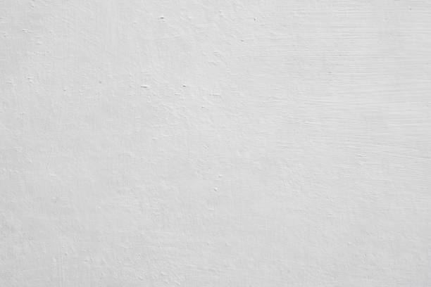 Best Mold Damage Restoration  in Ormond Beach, FL