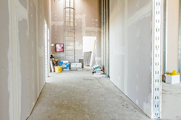 Best Attic Mold Removal  in Ormond Beach, FL