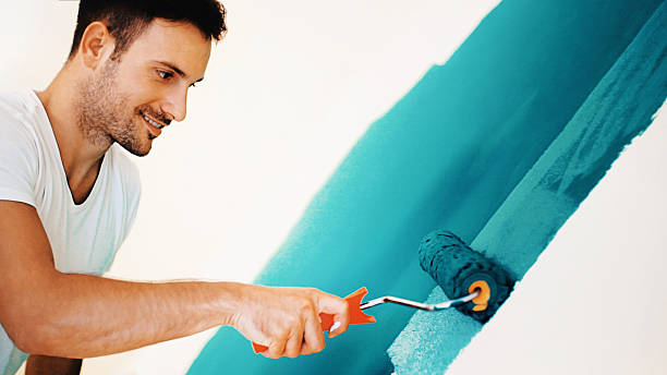 Best Basement Mold Removal  in Ormond Beach, FL