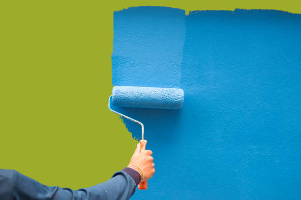 Best Dehumidification Services  in Ormond Beach, FL