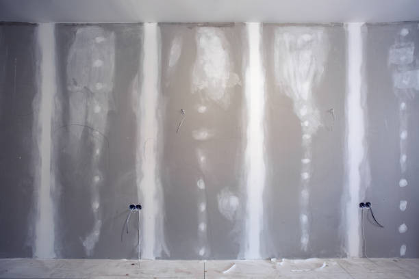 Best Mold Documentation for Insurance Claims  in Ormond Beach, FL
