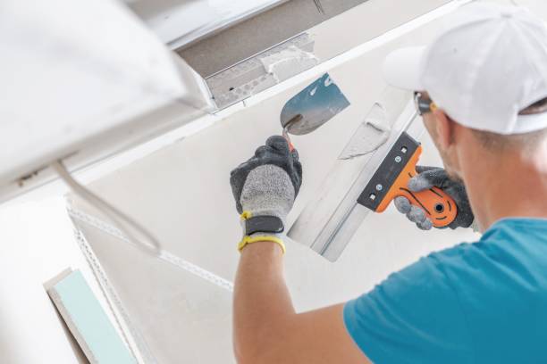Best Black Mold Removal  in Ormond Beach, FL